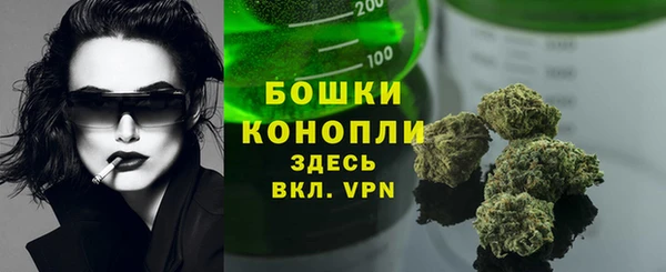 эйфоретик Кулебаки