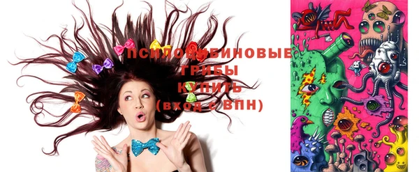 твердый Краснослободск