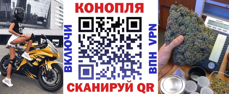 Канабис SATIVA & INDICA  где можно купить наркотик  Сураж 